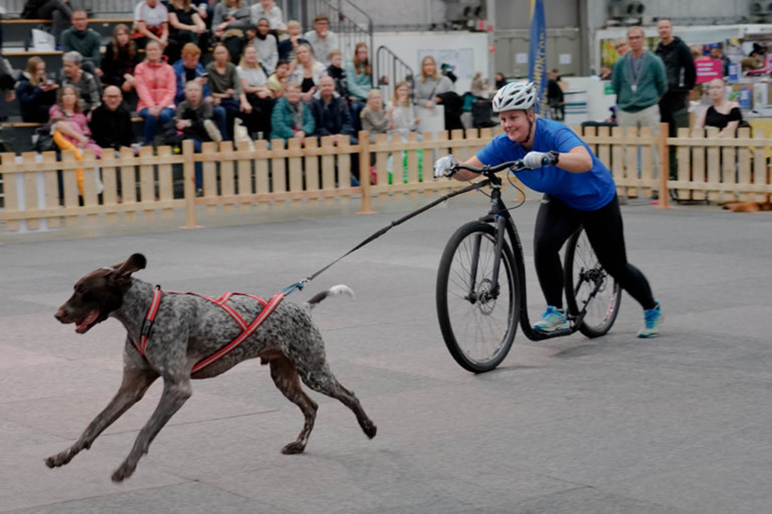 Alt-text via mediaflow