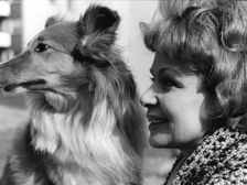 En kvinna som sitter bredvid en hund på ett svartvitt foto